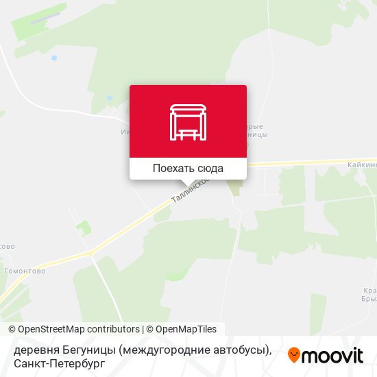Карта деревня Бегуницы (междугородние автобусы)