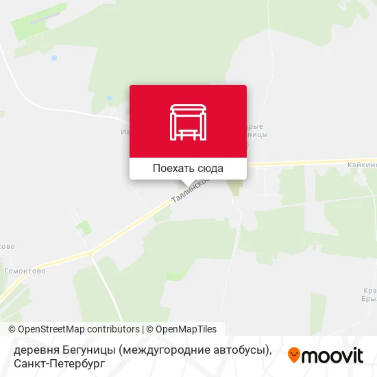 Карта деревня Бегуницы (междугородние автобусы)