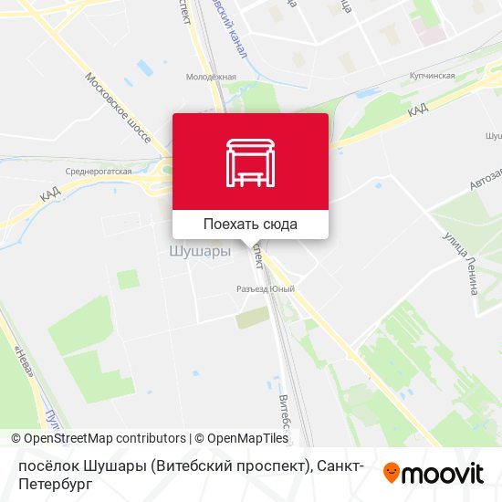 Карта посёлок Шушары (Витебский проспект)
