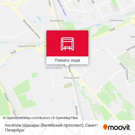 Карта посёлок Шушары (Витебский проспект)