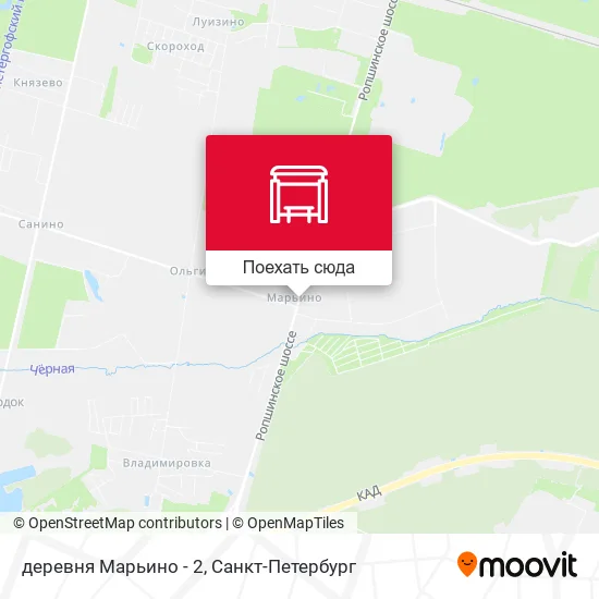 Карта деревня Марьино - 2