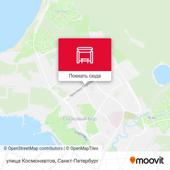 Карта улица Космонавтов