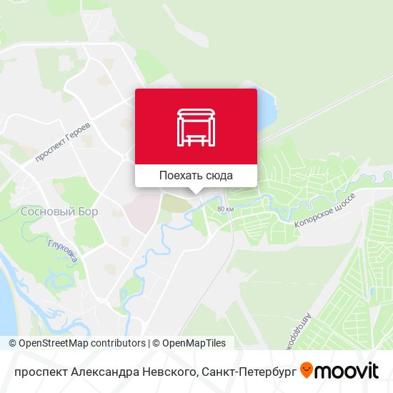 Карта проспект Александра Невского
