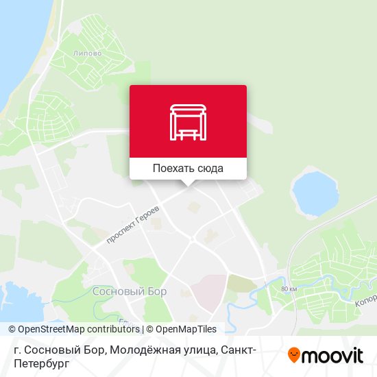 Карта г. Сосновый Бор, Молодёжная улица