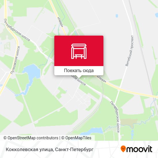 Карта Кокколевская улица