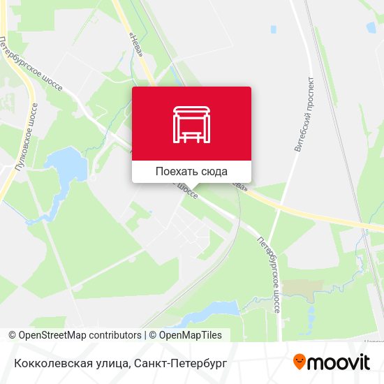 Карта Кокколевская улица