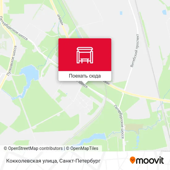Карта Кокколевская улица