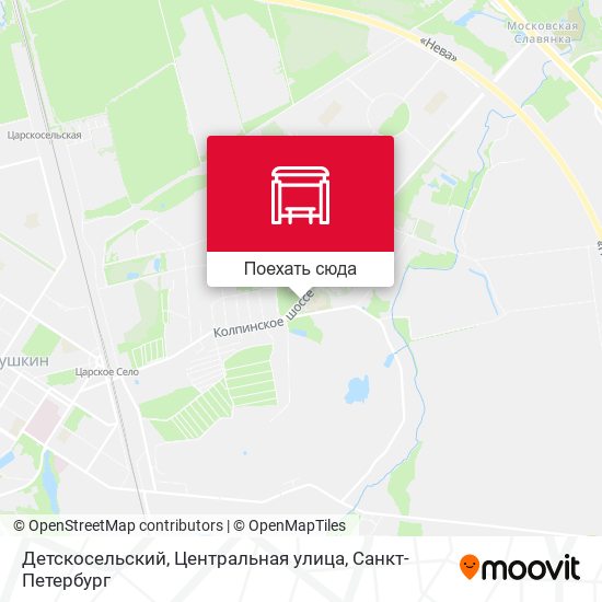 Карта Детскосельский, Центральная улица
