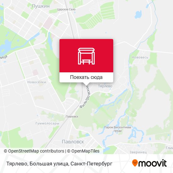 Карта Тярлево, Большая улица
