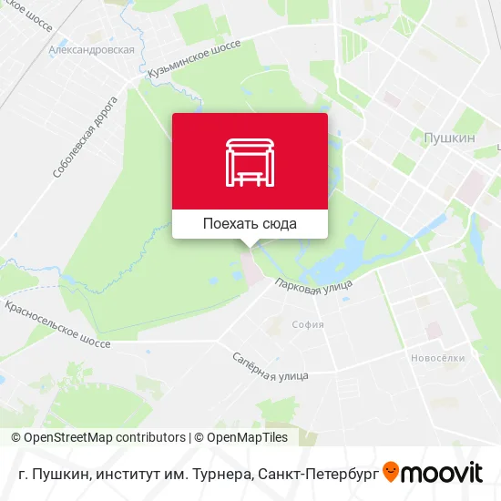 Карта г. Пушкин, институт им. Турнера