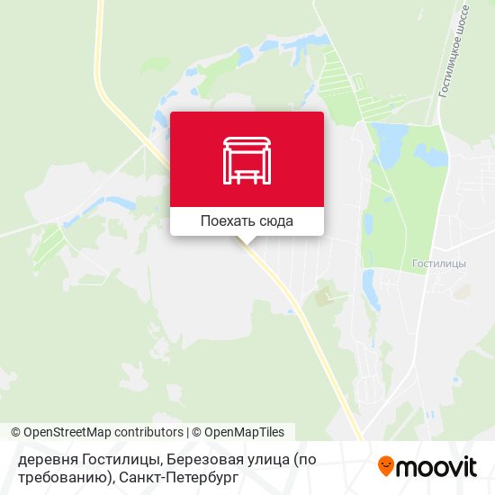 Карта деревня Гостилицы, Березовая улица (по требованию)