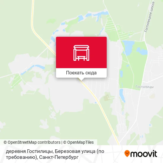 Карта деревня Гостилицы, Березовая улица (по требованию)