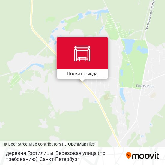 Карта деревня Гостилицы, Березовая улица (по требованию)
