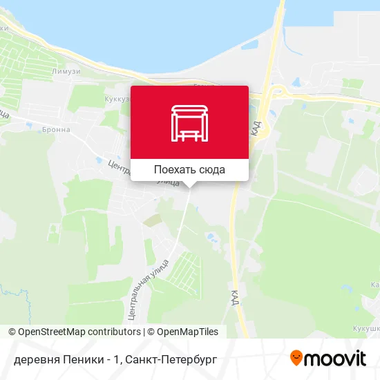 Карта деревня Пеники - 1