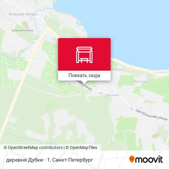 Карта деревня Дубки - 1
