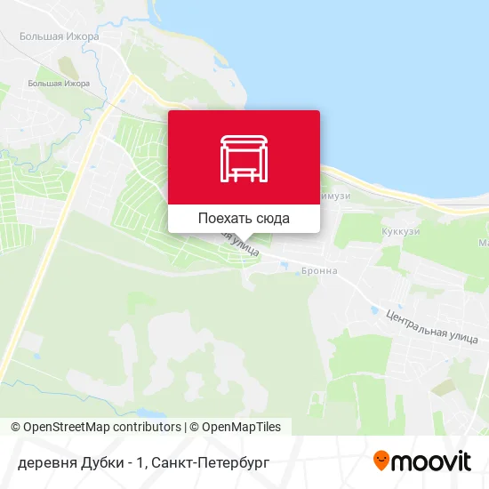 Карта деревня Дубки - 1