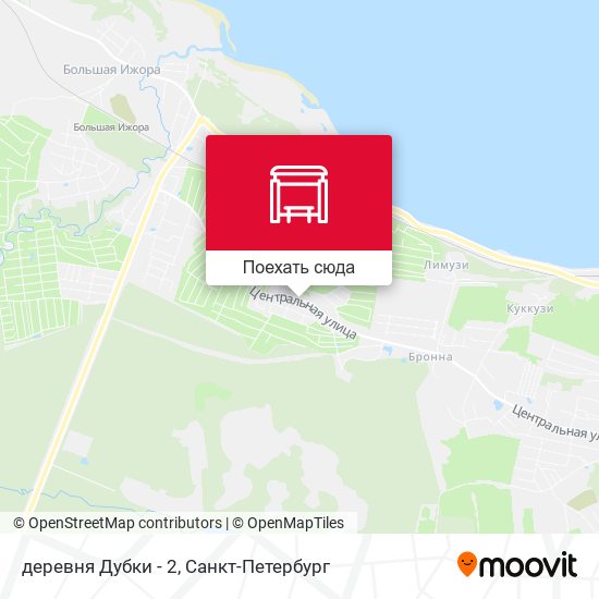Карта деревня Дубки - 2