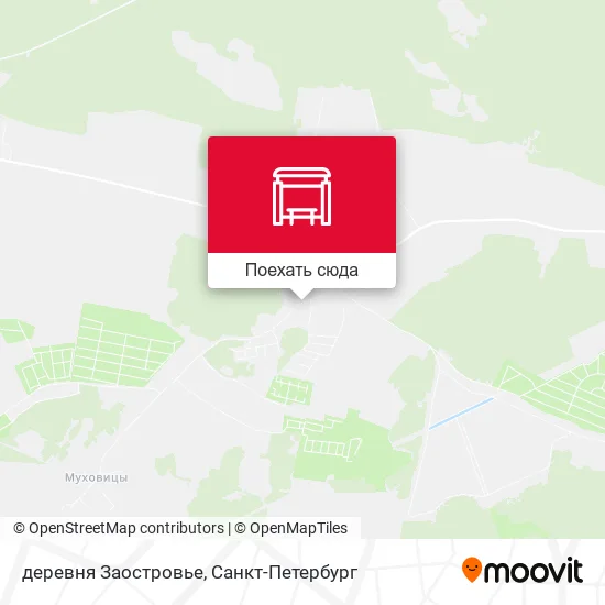 Карта деревня Заостровье
