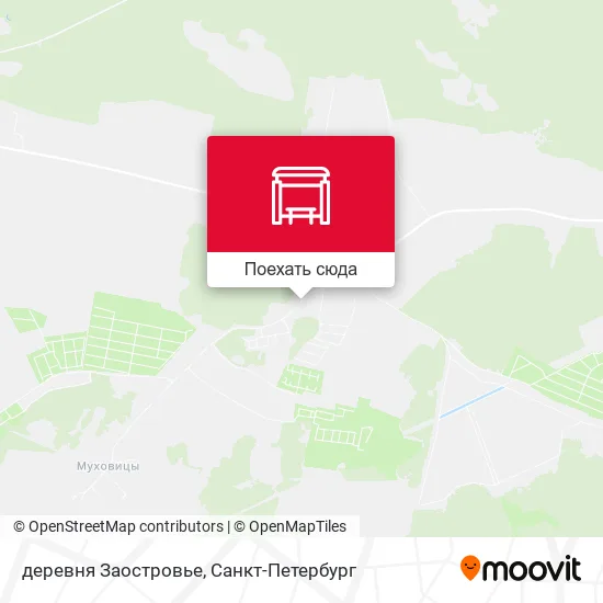Карта деревня Заостровье