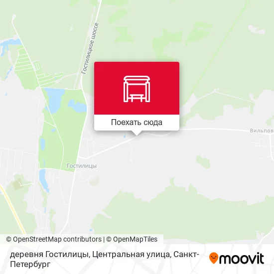 Карта деревня Гостилицы, Центральная улица