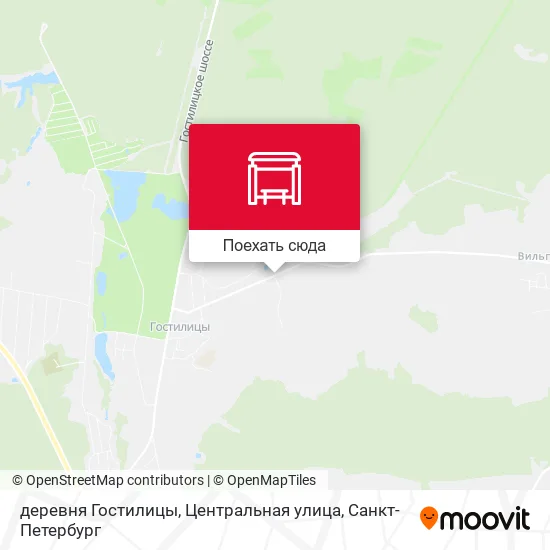 Карта деревня Гостилицы, Центральная улица