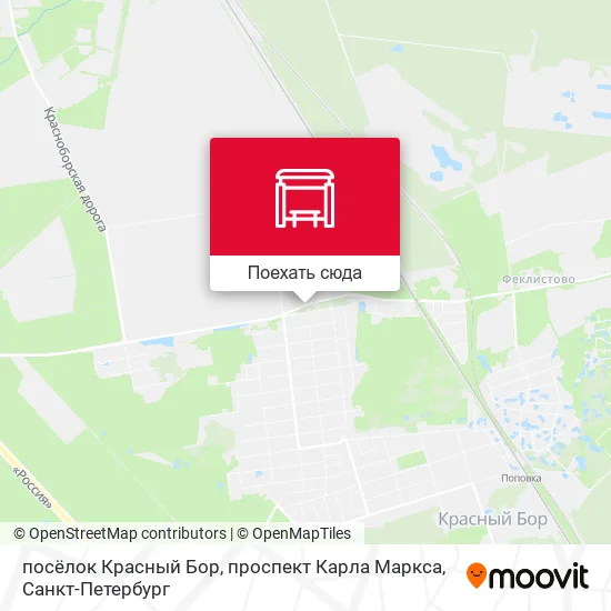 Карта посёлок Красный Бор, проспект Карла Маркса