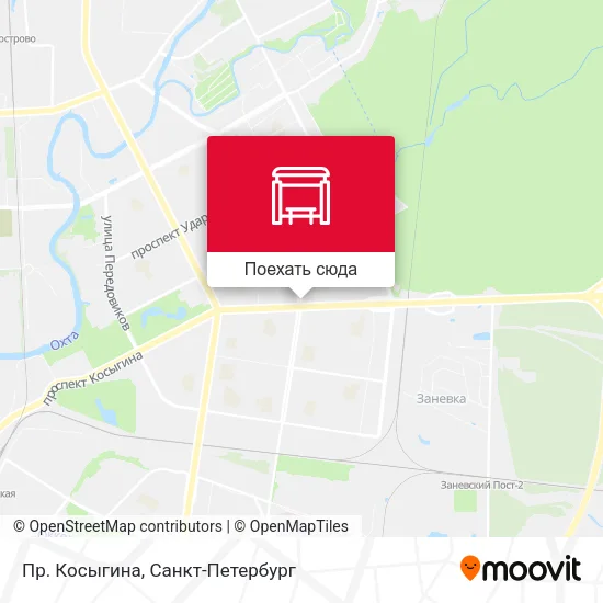 Карта Пр. Косыгина