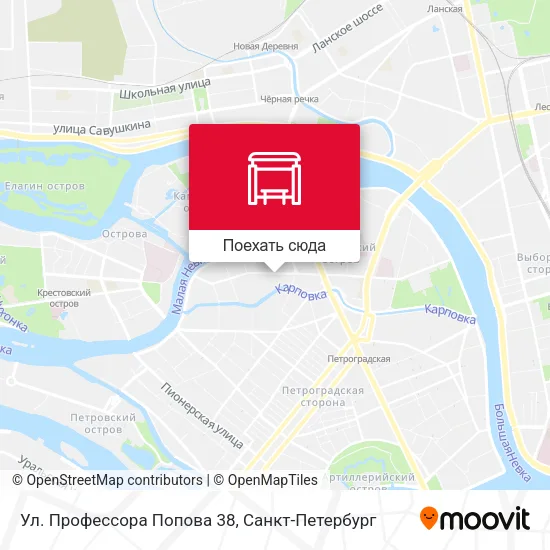 Карта Ул. Профессора Попова 38