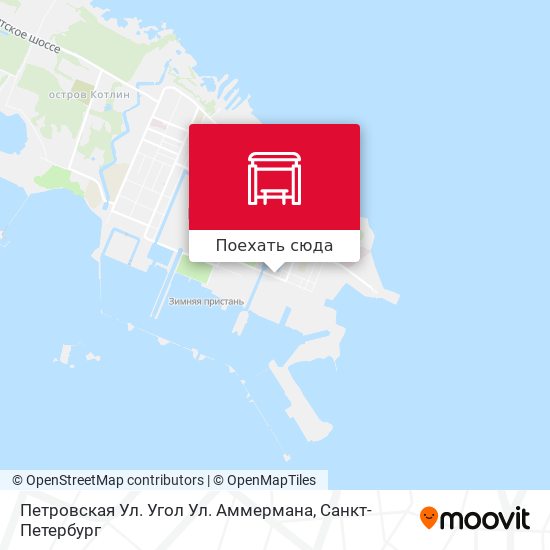 Карта Петровская Ул. Угол Ул. Аммермана