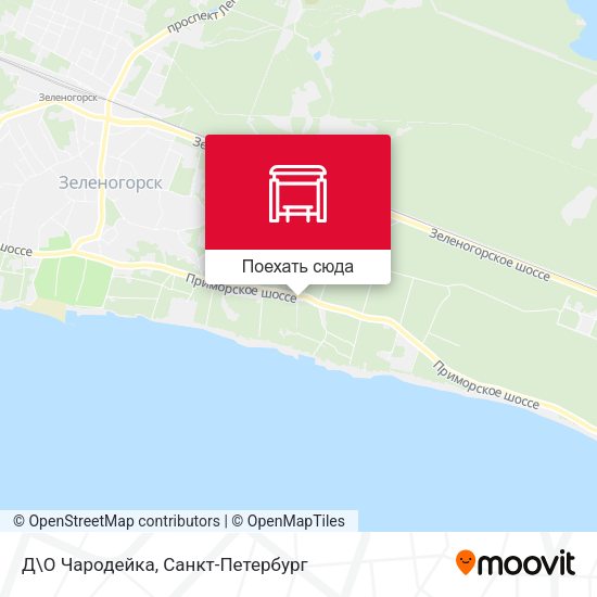 Карта Д\О Чародейка