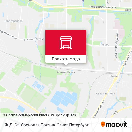 Карта Ж.Д. Ст. Сосновая Поляна