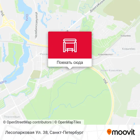 Карта Лесопарковая Ул. 38