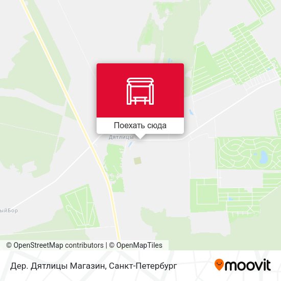Карта Дер. Дятлицы Магазин
