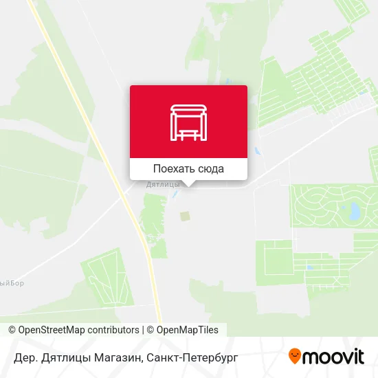 Карта Дер. Дятлицы Магазин