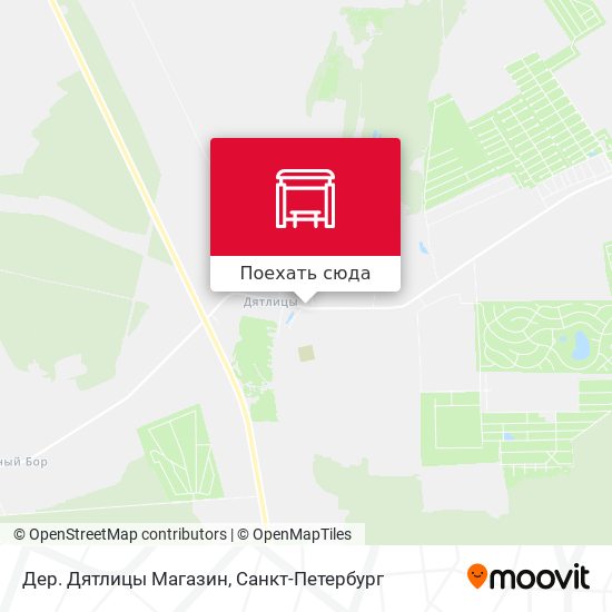 Карта Дер. Дятлицы Магазин