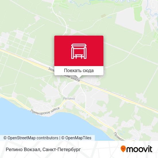 Карта Репино Вокзал