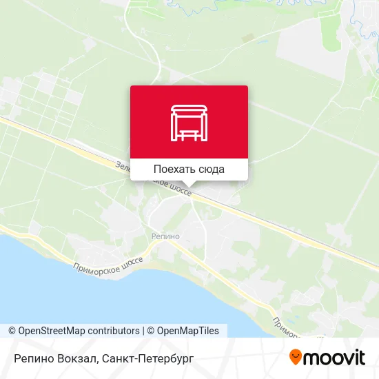 Карта Репино Вокзал