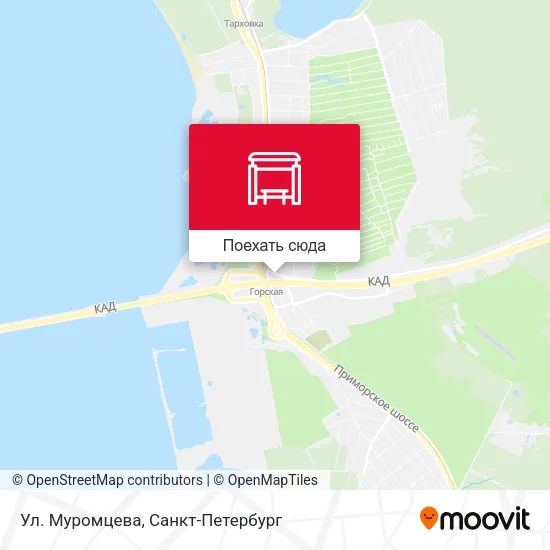 Карта Ул. Муромцева