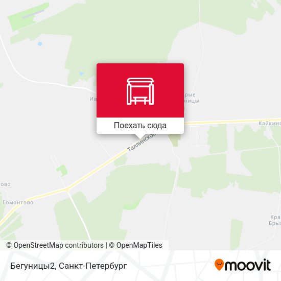 Карта Бегуницы2