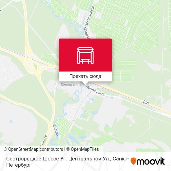 Карта Сестрорецкое Шоссе Уг. Центральной Ул.