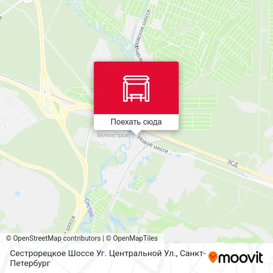 Карта Сестрорецкое Шоссе Уг. Центральной Ул.