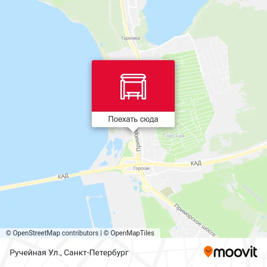Карта Ручейная Ул.