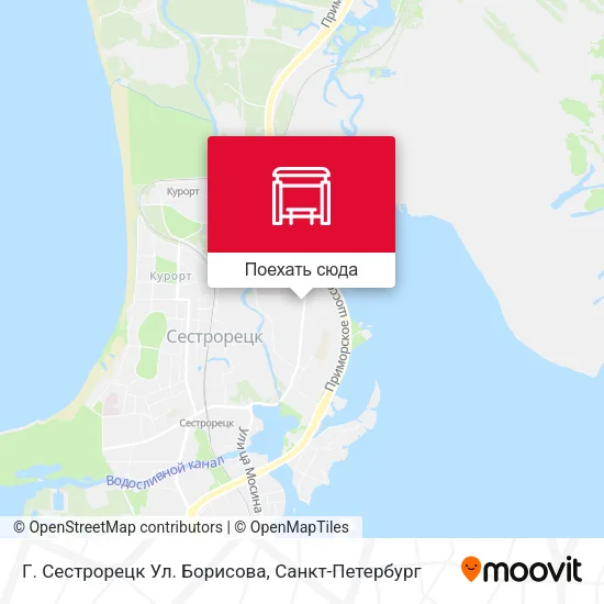 Карта Г. Сестрорецк Ул. Борисова