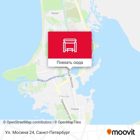 Карта Ул. Мосина 24