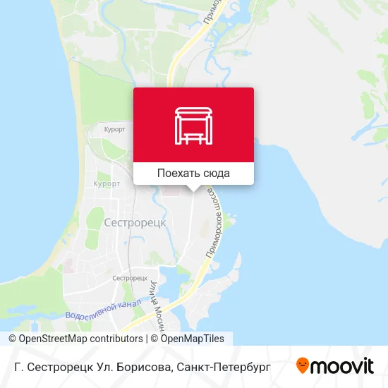 Карта Г. Сестрорецк Ул. Борисова