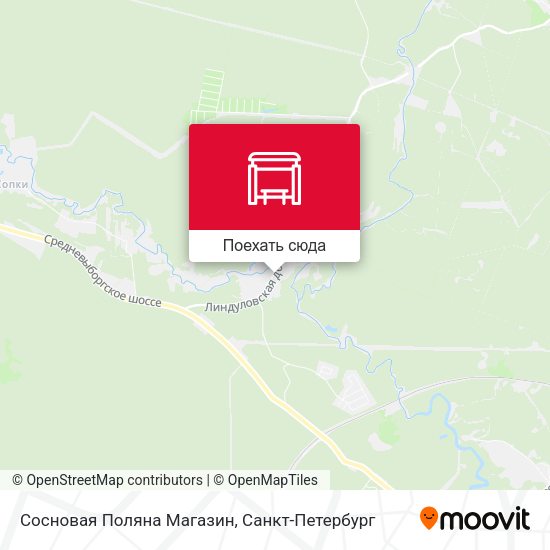 Карта Сосновая Поляна Магазин