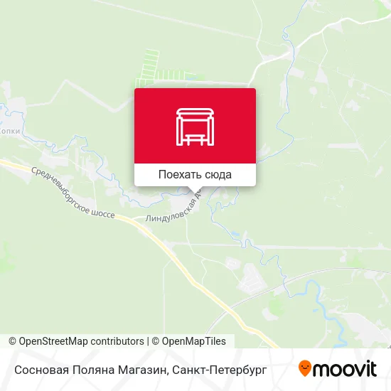 Карта Сосновая Поляна Магазин
