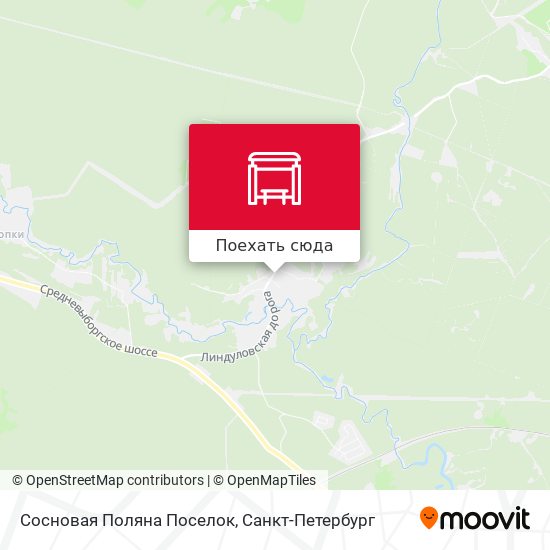 Карта Сосновая Поляна Поселок