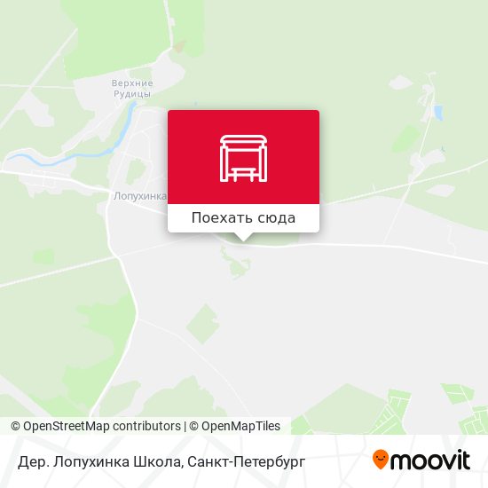 Карта Дер. Лопухинка Школа