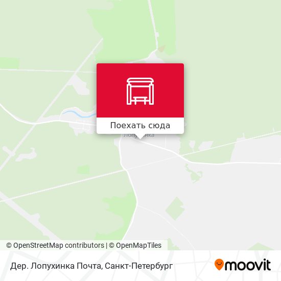 Карта Дер. Лопухинка Почта